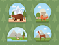 Forest_animal_dribbble