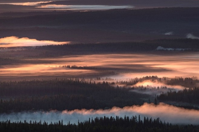 迷雾森林 ｜摄影师Tiina Törmä...