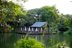 西溪湿地_百度图片搜索