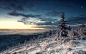 wallhaven-275038.jpg (1500×938)