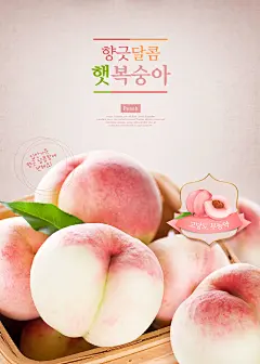 15款新鲜生鲜日常美食的韩国时尚海报PSD模板下载[psd] – 设计小咖