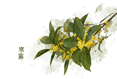 于龑采集到节洁洁