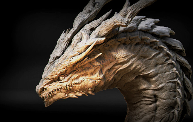 Dragon's concept.  ,...