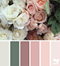 flora palette