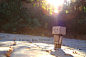 "What do we do now, Danbo?" | Flickr - 相片分享！