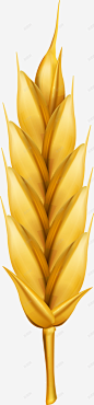 农作物金色麦子图标 麦子 麦穗 麦穗图标 UI图标 设计图片 免费下载 页面网页 平面电商 创意素材
