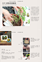 #园艺DIY# DIY多肉植物花器。