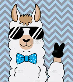 羊驼,酷,太阳镜,婴儿,嬉皮士,男孩,可爱的,艺术,图像,设计
