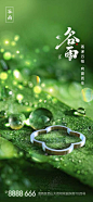 谷雨节气稿
