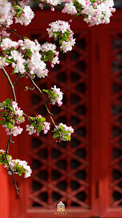 Yang~_~采集到节日