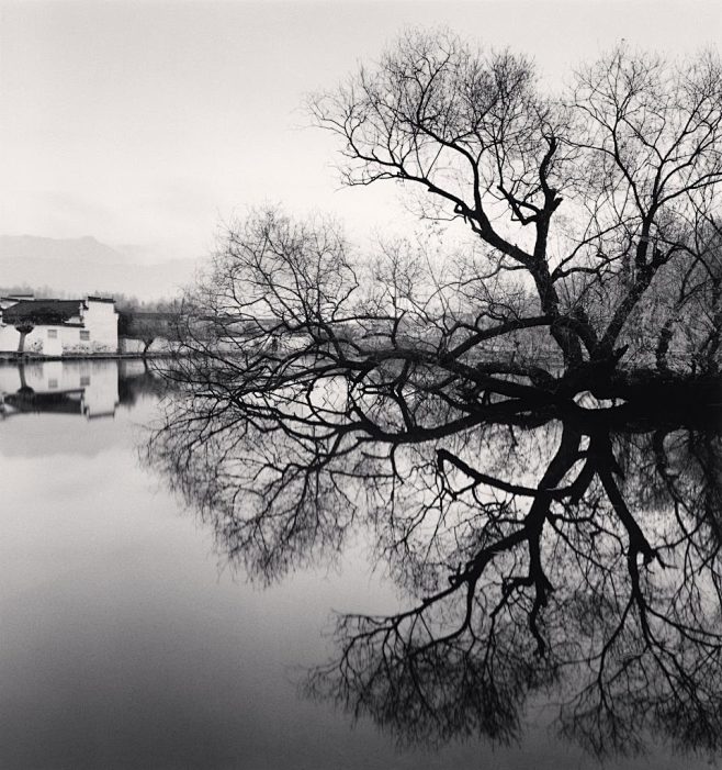 哲学家的树 / Michael Kenn...