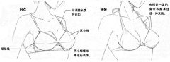 墨╊熵采集到教学面版