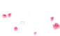 花瓣 素材 PNG素材 玫瑰花瓣 樱花 桃花 飘落 飘洒 散落 情人节浪漫素材 前景素材 #花瓣# #点缀元素# #前景# #素材# #PNG素材# #点技能# #dianjineng.la#