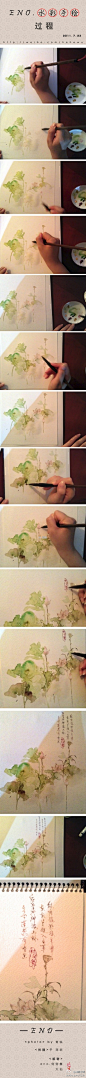 水彩莲绘画全过程