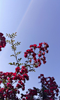 P50614-084206 #小清新#