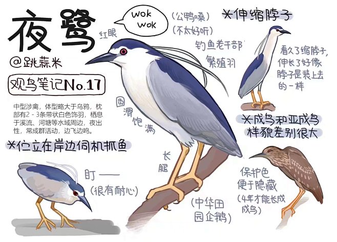 观鸟笔记又可以凑九了[em]e10319...