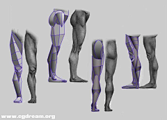 CG织梦网采集到人体解剖