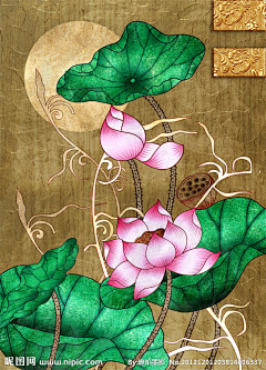 B7fh2_butterfly采集到花卉