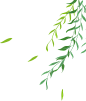 手绘柳叶树枝