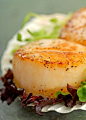 Pan-Seared Scallops with Herb Butter Sauce: 