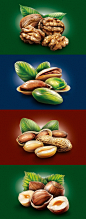 Nuts坚果类插画设计封面大图