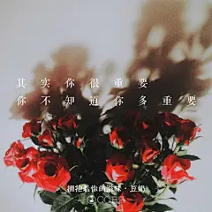 拥抱着你的滋味  &lt;专辑;听不真切，此刻你是因谁而歌&gt;［文字 句子 锁屏 语录 校园 毕业 键盘 壁纸 歌词 原创］怪兽m MonsterCat