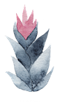 靛蓝色可爱的手绘仙人掌 植物 png素材