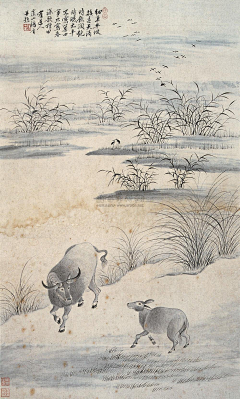 欧阳紫娜采集到风景