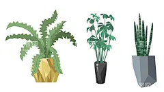 绿植素材  - 源文件下载【酷图网】水彩多肉,多肉植物,花朵,手绘,彩绘,水彩,绿色,花儿,植物,元素,花朵素材,花瓣,花卉,花卉宣传单,花卉展,花博会,花卉促销,花卉大促,鲜花,鲜花海报,花店,花店海报,绿植,绿植海报,绿植活动,花圃,花圃海报,绿植批发,绿植领养,领养绿植,花鸟市场,家庭绿植,多肉,盆栽,盆栽花卉,