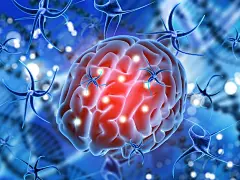 3d render of a medical background with brain being attacked by virus cells