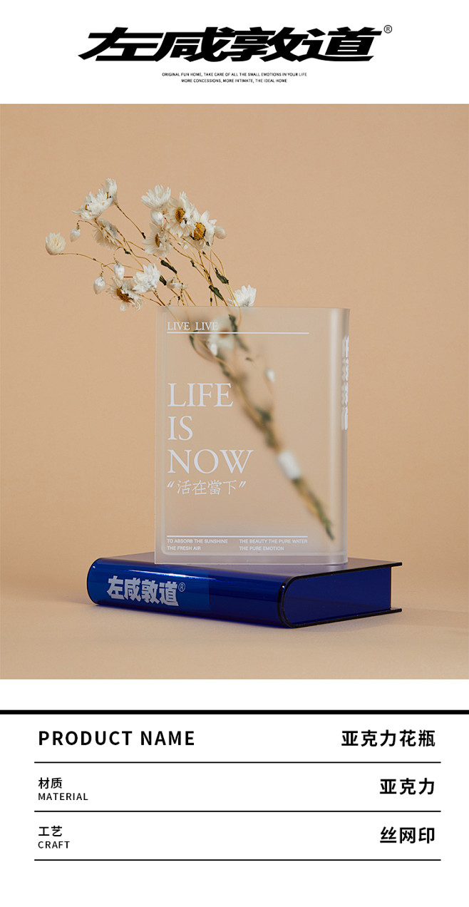 左咸敦道生命之书花瓶亚克力现代约摆件客厅...