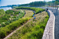 弹性景观：金华燕尾洲公园 

与洪水为友。实现生态弹性、社会弹性与的文化弹性的景观设计