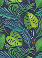 Rain Forest : Tropical floral patterns I did a while ago following the trendy craze :)