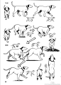 [漫画教程]卡通漫画绘画技法 动物的画法[142P]