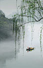 烟 柳 南 浦