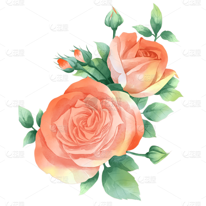手绘粉色单朵玫瑰花元素