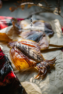 小桥流水i采集到摄影 — 中国