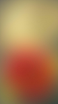 General 1242x2208 colorful blurred vertical portrait display