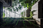 010-Barbican Conservatory_Luke Hayes