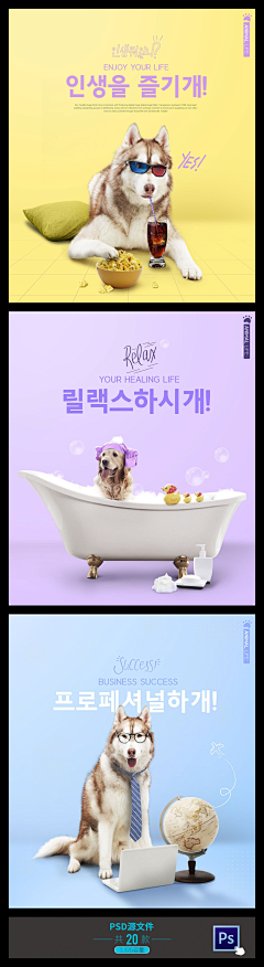 xHU2LVVq采集到KUCING ANJING