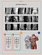 人体外貌与骨骼肌肉之间的结构
.
艺用人体解剖图解干货
.
Uldis.Zarins. Sandis.Kondrats
.
画素描人物速写参考 ​​​​