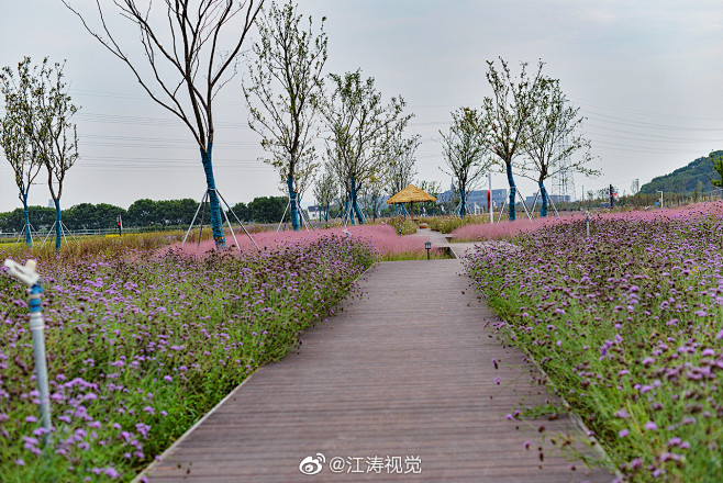 带女儿打卡新晋网红地之张家港凤凰镇肖家巷...