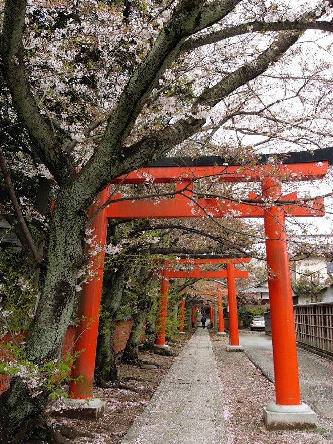 京都吉田山