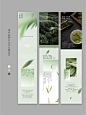 茶叶品牌公众号推文 · 茶饮宣传长图文设计 ————————————————————— 设计项目：公众号排版 设计风格：清新·高级·雅致·极简·大气 适用行业：茶叶品牌·茶艺茶道·茶叶零售·茶文化·茶旅·民宿·茶室·茶展·茶叶店·茶饮店·茶空间·围炉煮茶 —————————————————————  原创设计 定制印刷 套版设计  全方位为各行业提供各项平面设计 ————————————————————— ▫高级感公众号图文·公众号封面设计·公众号推文排版·首页定制设计·h5页面设计·详情页设计 - #公