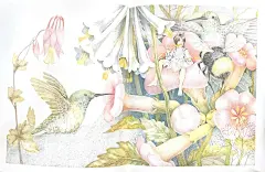 Thumbelina拇指姑娘由Susan Jeffers插绘 - 小红书