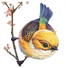 鱼非鱼雅采集到花鸟