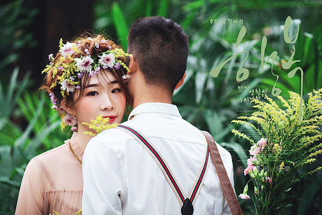 棕榈树 婚纱照