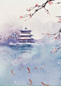 来自相册