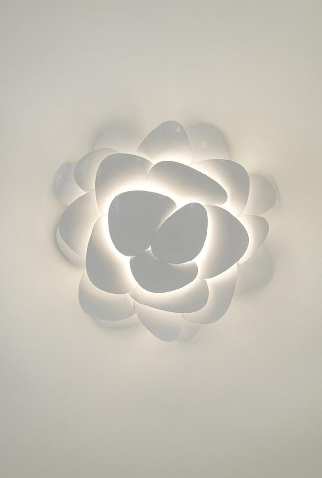 wall flower by ultra...