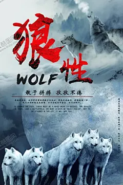狼性精神企业文化标语海报素材 【酷图网】狼性,精神,企业,文化,标语,海报,素材